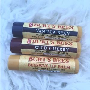 Burt's Bees Moisturizing Lip Balm Set of Three